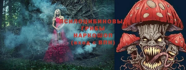прущий лед Армянск