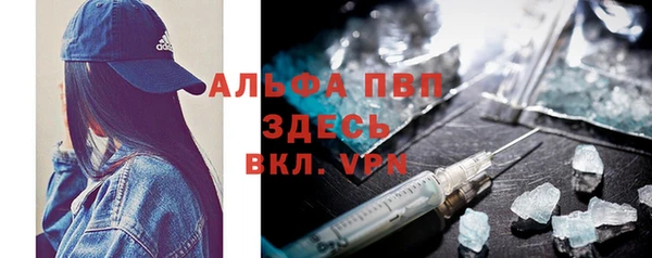 индика Касимов