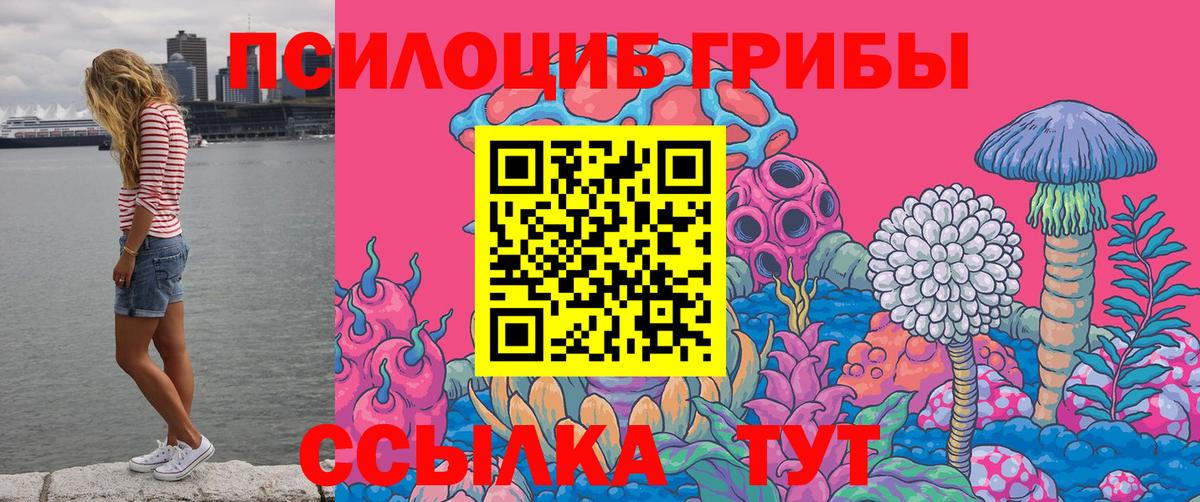 Нижнеудинск  Псилоцибиновые грибы прущие грибы  сколько стоит  Вход с VPN 